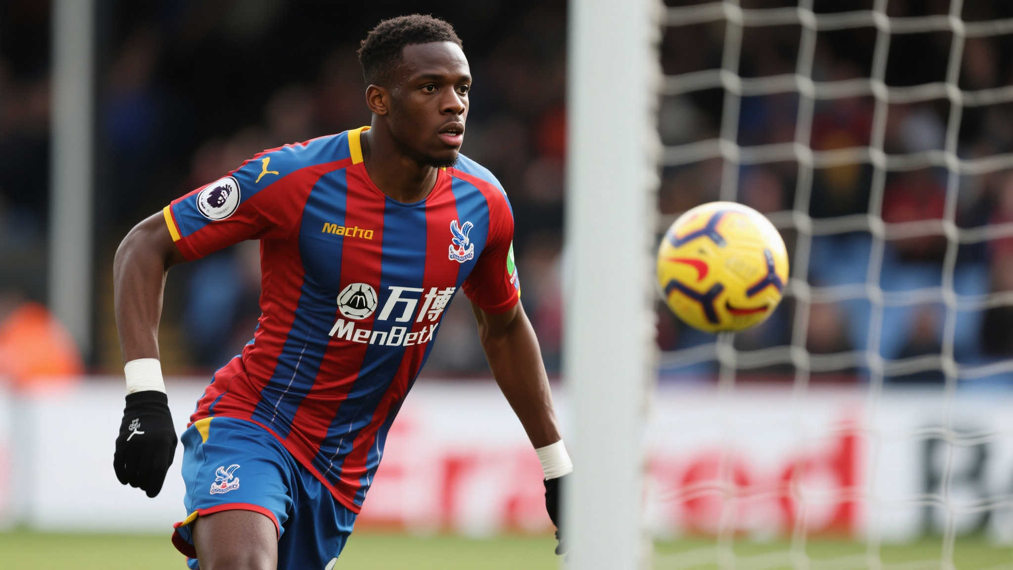 游泳赛事组织三